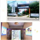 威尼斯集团vip5519（广西）“智慧康养树模工业园基地”完工开放